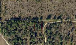 This lot is wooded in an Undeveloped S/D. South Eastern part of Suwannee Co. See all referring MLS#. #81692, #81689, #81691, #81695. This lot is part of a 5-lot package for $25.000. Lots located in Suwannee, Madison and Hamilton Co. All surveys at Buyers