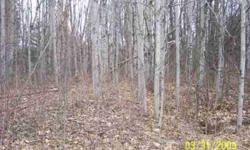 #4041-PATSY PLACE. 2 nice level and wooded lots that total approx. 1 acre on a dead end road located close to Big Norway Lake park access, and just a few miles S. of the Muskegon River, state land, and trails. Great place to camp or build on.
Listing