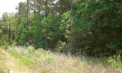 Nice just over 1/2 acre lot in Mill Creek Estates. Not far from Texas Renaissance Festival in country. Great for getting away from the city life! Growing area.
Listing originally posted at http