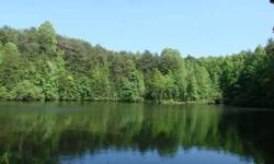 REDUCED!! 92.43 acres with 3 acre lake and beautiful mountain views in SW White County. Property has it all, mountains, creek, lake, pasture and woods. Private yet convenient to Gainesville, Dahlonega, Cleveland, and GA 400. This would be perfect for
