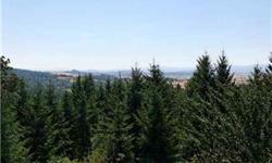 Choice property located in heart of OregonÃ¢??s wine country. Just 20 minutes from downtown Salem. Flat to gently sloping land w/tall trees. Fantastic west view. Small garden area. Great place to build your estate manor and vineyard. Home is livable but
