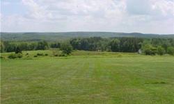 This great piece of property in Parksville Ny in Sullivan county. It is one of only 2 lots in the main subdivision that can also be subdivided . With proper engineering it can be subdivided up to 4 times. Gently rolling 95% cleared with Great mountain