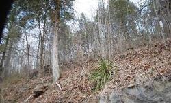 #2271 - Ewing, VA - YOU CAN ENJOY YOUR OWN OIL WELL ON 15 ACRES WITH TIMBER TOO!! This property is located in a convenient location to Tennessee and Virginia; with road frontage; $60,000; Call Virginia Wilder at 276/861-2023 or cell 423/956-2932.
Listing