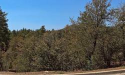 Excellent building site in an area of quality homes. All Prescott City utilities. Close to National Forest, downtown Prescott, shopping, schools, restaurants and hiking. Owner has set of plans for a contemporary home and topo. A terrific buy.Listing