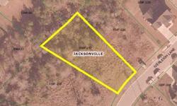 Plenty of room to build your dream home. Almost a half acre of land for everyone to roam. This lot is minutes from shopping, schools, and restaurants! Come check it out!
Listing originally posted at http