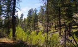 Property has good potential building sites. It borders USFS land with nice territorial and Cascades mountain views. Little Joe Creek runs through it. An excellent location for your recreation or a peaceful retreat.
Listing originally posted at http