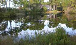 This beautiful Lake Front lot is located just minutes from Silver Sands Outlet Mall, Sandestin Resort, Seascape and Grand Boulevard. Bayshore Pines is a small lake front community just a short drive to the beach or the bay. This is a fantastic lot at a