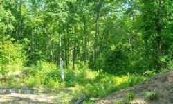 Level, wooded 2+ acre country lot off a scenic road awaits your new home. Lot has area cleared for house site and gravel driveway in place. Extra fill on property for site work. Septic design for four bedroom needs updating. Well on site at 325' 20