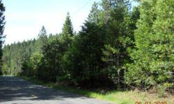 Large one acre home site for sale near Trinity Lake Bowerman Boat Ramp. This is truly a nice spot. Paved county road, power and phone at street, Almost completely flat and real nice neighborhood. Needs septic approval and water source. Possible to hook up