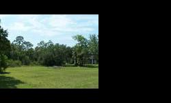 Beautiful.46 acre Lot ,2 buildable lots or build on one Keep the other for extra privacy . Located in Upscale Exclusive Blue Water Isle Deed Restricted Community. Single Family homes only . Backs to Weeki Wachee Nature Preserve . Private Resident-only