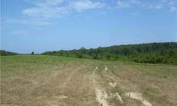 33 acres with paved county road frontage, good mix of pasture and pines, level to gently rolling land, good building sites, recent survey, PRICED TO SELL!Listing originally posted at http