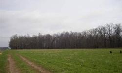 Great sized building site with 75 ft. of road frontage to open field. Great for new home site and/or outbuildings. 3 acres of the property are wooded at the back end. Close to toll road and by-pass for easy travel.Listing originally posted at http