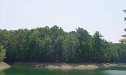 Lewis Smith Lake-Large Tract of land w/approx. 700 ft. of water frontage. Located about 1 mile from the Dam and Smith Lake Dam Boat Launch. Year Round Water. Pre-approved for Boat Dock or could have 3 or 4 Docks if divided. Some open pasture area, large