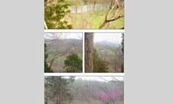 Approximately 4 acres or so of land located in Byrdstown, TN. Back side of property overlooks Wolf River, Tn hills, and a valley... an absolutely beautiful view. You can be at Sunset Marina on Dale Hollow Lake in less than 10 minutes. This would be a