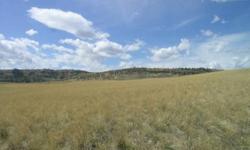 28.77 acres of pasture.
Listing originally posted at http