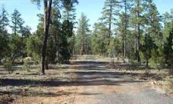 Beautiful towering ponderosa pines adorn this heavily treed 1.11 acre home site. Listing originally posted at http