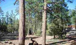 This heavily wooded 1.11 home site does and is ready for your dream cabin. Listing originally posted at http