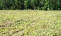 Looking for a place to build??? Look no further...11+ acres on Gilliam Road; septic & driveway installed. Acreage is mostly cleared, w/ road frontage on both Gilliam (about 1,100 ft) and S. Plank Roads (about 800 ft). Land is zoned RA and should allow for