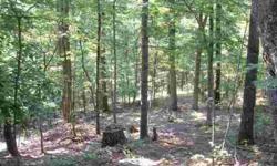 Great opportunity to build your dream home in a private wooded, country setting yet convenient to Blacksburg, Roanoke and the New River Valley. Easy and quick access to I-81. Property has mature timber on the 7.07 Acres and is perc site approved. No