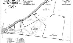 "Lakeshore Woods" New 5 lot subdivision. Brittonkill Schools 1.2-10+ acre lots. Treed, private setting some with views. Contingent on final government approvals. Possible owner financing.Listing originally posted at http