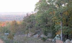 This 40 acres is perfect land for hunting. The land is rolling and nice. Beautiful view.Listing originally posted at http