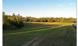 Build your dream home on this wonderful 5.1 acre Mississippi River lot only 8mis out on Becida Rd. Property has lots of great potential for walkout or one story homes. This property is perfect for those that like to hunt or kayak on the river.Listing