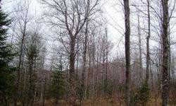 What a great opportunity to own a secluded parcel of land surrounded by wildlife. Direct snowmobile trail access. Plenty of room to build your camp in the Great North Woods! Electric nearby. This parcel is also being sold as three separate lots.