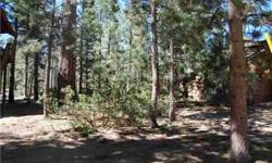 Nicely treed lot backing to Pine Summit. Central location, level lot and great neighborhood. Walk to Snow Summit from this location!Listing originally posted at http