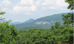Wonderfully lying easy build lot with Amazing Views of Shumont Mountain and the Balds! Also, straight away views of Chimney Rock and the Hickory Nut Gorge. Views to the north of Youngs Mountain and Bills Mountain as well! Already partially cleared, you'll