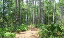 Beautiful five +/- acre building site with new drive access from direct onto US17 in Green Cove Springs.Ready for your new home, and bring the Horses also!Nice tree buffer and amazing location, PRICED TO SELL! Possible Owner FinanceListing originally