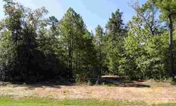 Beautiful builders 1 acre lot ready for your custom home. Easy access to I-45 and minutes to The Woodlands, Willis, and Spring. Low taxes and no MUD tax!
Listing originally posted at http