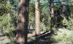 Beautiful 1.37 acre homesite with old growth ponderosa pines!
Listing originally posted at http
