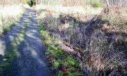 2.33 acres nestled in desirable aea between Port Angeles and Sequim. A private road represents your western boundary line. Underground power and water at the road. With a little prep work, this private lot will shine. Owner financing possible with a