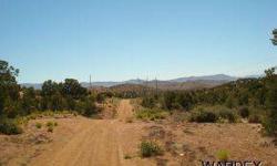 Bueatiful lot with amazing views looking out over cedar hills ranches, this parcel in covered with pinion pine trees and has many great sites for your next home, property is located on a cul-de-sac and has goods roads, if your looking for piece and quiet