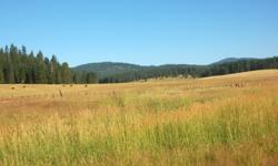 Enjoy the beautiful open mountain views on this partially wooded 240AC bordering the US National Forest and Idaho Department of Lands. With its apprx. 160AC of open meadows in pasture/grazing ground and ponds this property would make an ideal ranch. Also