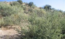 JUST REDUCED! Come see this secluded property with lots of potential. Beautiful views of Catalina Mountains. Build your dream home on this property. Lots of mature desert vegetation. Bank will finance this property, Call Rey Robles, National Bank of
