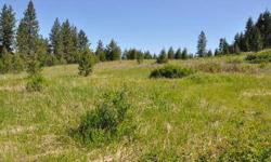 Sun, Privacy and seclusion! This wonderful 4.52 acre property is a great mix of views, trees, and meadows! Multiple building sites to choose from! Listing agent and office