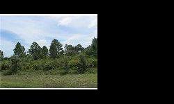PRAIRIE CREEK MINUTES FROM HISTORICAL PUNTA GORDA & CHARLOTTE HARBOR 5 ACRES ON A CUL-DE-SAC,BLACK TOP ROADS WITH ESTATE SIZE HOMES , OFFERS PRIVACY, NATURAL BEAUTY IN THIS WONDERFUL DEED RESTRICTED COMMUNITY.ONLY MINUTES FROM PUNTA GORDA , PORT CHARLOTTE