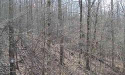 Reduced by $10000.00. 1.39+/- acre tract sitting on top of a mountain in Ellijay, Georgia. Breathe taking views overlooking the surrounding mountains from this lot & is ready to be built on immediately. Mature hardwoods, close to Dawsonville and Ellijay.