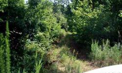 Nice piece of property! City water is available at the road. Access for the land behind is part of this plat. What a nice chance to buy land in Burke County!
Listing originally posted at http