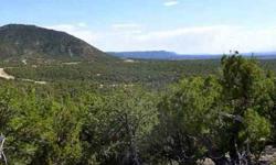 UNDER ALL IS THE LAND. AND IT IS A GREAT TIME TO BUY IT! BEST PRICING AND A WONDERUL SELECTION OF PREMIUM HOME SITES AWAIT YOU. 20 ACRE +/- PARCELS START AT ONLY $65,000, SOME WITH OWNER FINANCING AVAILABLE! Fall in love with the Heart of New Mexico! Deer