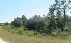 BEAUTIFUL ROLLING HILLS WITH A GREAT MIX OF OAKS AND PINES ON THIS RURAL 8 ACRE PARCEL IN TRIPLE CROWN FARMS. DEED RESTRICTED TO SITE BUILT HOMES OR NEW DOUBLEWIDES. NEAR GOETHE STATE FOREST RIDING TRAILS. For more information contact LINDA JANE CRAMER at