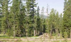 Paintbrush Lane Price Reduced $7,000. Start building your dream cabin this Spring. 4.99 acres with mountain views and abundant wildlife, power, leveled building site, small cabin and shed. If you're looking for that weekend get-a-way, here it is. Just 8