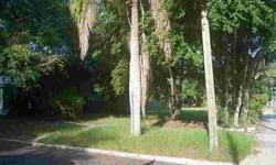 Attention developers, builders and those dreaming of building a new home in a historic district. Oversized lot with ally access is ready to build on. Just a few minutes' walk from downtown, Tropicana Field and St. Anthony's Hospital. Lot includes impact