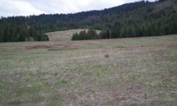 Gated 13 + acres of meadow in Benewah County contained within the N1/2 of section 20, township 45n range 4 west. The property is 2.7 miles east, on windfall pass road which is 7 miles south of Plummer, Idaho on Hwy#95. Gentle sloping meadow with great
