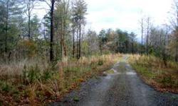 This tract is too good to pass on. A great location and easy access. Roads are in. Great view without the steep roads. Great little creek you can hear on property.Listing originally posted at http
