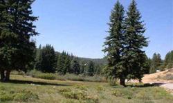 Year Round Access. Georgeous Views. Year Round Water Hook-up on each lot. Each lot is .67 Acres Lot 199 Is Also Available for a total of 1.34 Acres at $ 66,000.
Listing originally posted at http