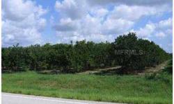 24+ acres in Lake County with an Orange Grove. Irrigation system and 8 in well. Lovely hillside homesite with lots of paved road frontage. Can be subdivided into five acre lots. Close to majors roads (Rt 27 & Florida Turnpike) Rare opportunity!Listing