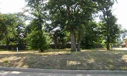 Build your dream home on this beautiful lot. Lots of trees on a cul de sac street. Serene setting just waiting for your plans.
Listing originally posted at http