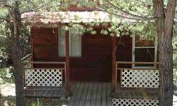 This small cabin has been completely remodeled, and in a Great Location!! Oak cabinets, total electric , Large living area with sofa and love seat. Comes fully furnished. Wood burning stove, new septic. Large deck for Barbequing and entertaining. Chain